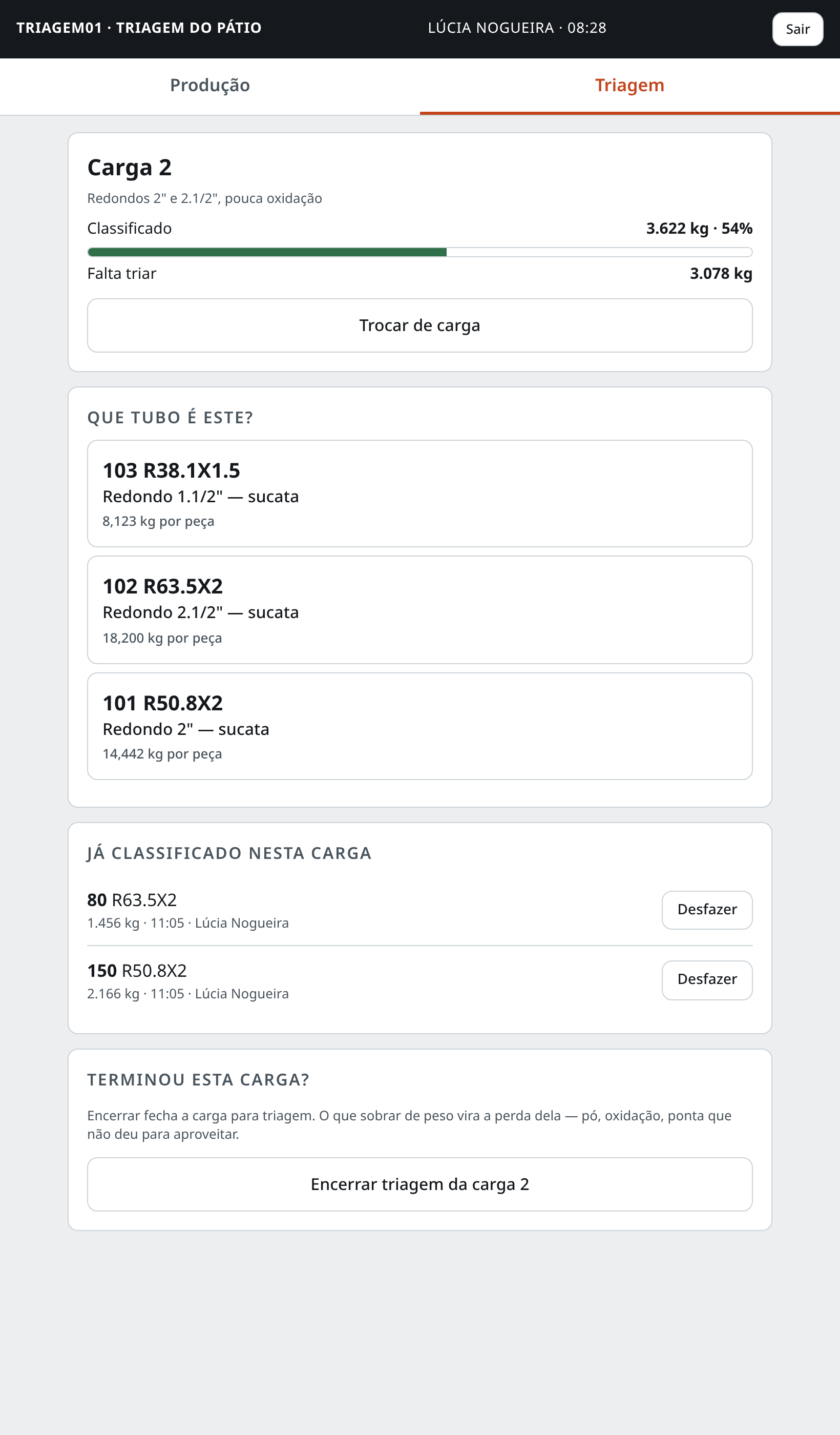 Tela de triagem da carga 2, com progresso, tipos e o que já foi classificado