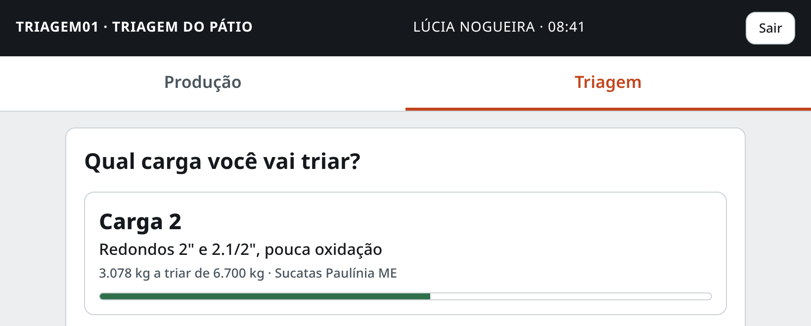 Lista de cargas disponíveis para triagem